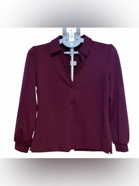 Talbots Plum Collared V-Neck Blouse